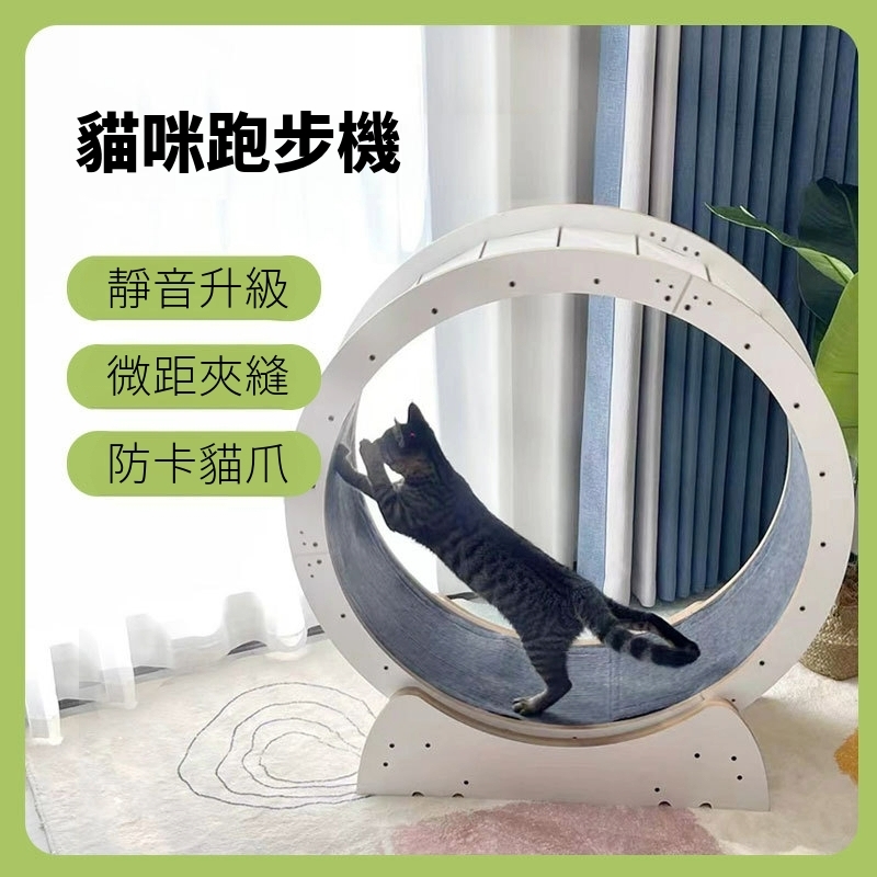 貓咪跑步機